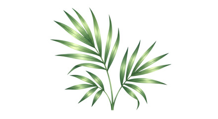 A closeup watercolor illustration of vibrant green palm fronds, isolated on a transparent background