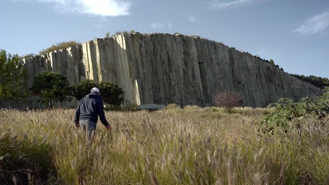 A person walked through the foxtail grass（
Setaria viridis） towards the distant Mashan Stone Forest.