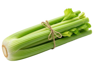 Vibrant green celery bunch with crisp stalks tied with twine for healthy eating