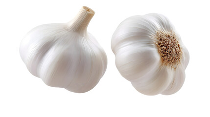 The natural garlic displays realistic freshness and detail, isolated on white
