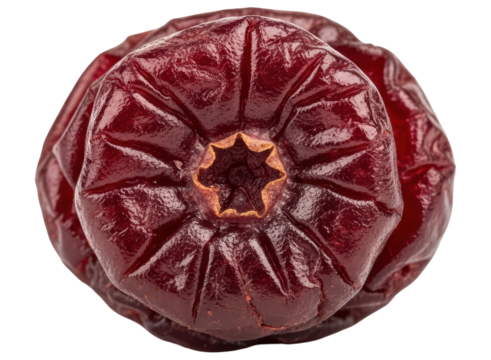 Top down view of a single dried cranberry with rich red color and wrinkled texture
