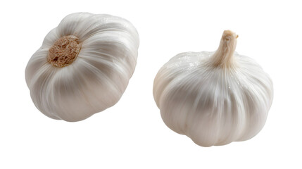 The whole garlic hovers softly with natural shadows, isolated on white