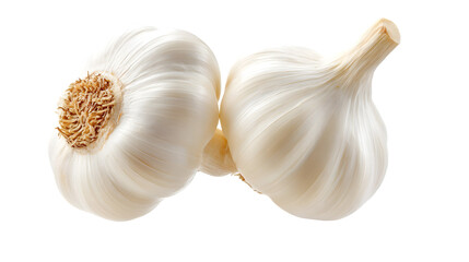 The whole garlic hovers softly with natural shadows, isolated on white