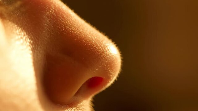 Macro photograph of a human nose with visible skin texture and soft fine hairs.