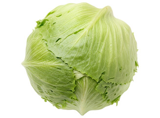 Fototapeta premium Fresh and crisp whole head of green iceberg lettuce, a healthy vegetable