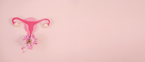 uterus and pink flowers, female reproductive system , woman health, PCOS, gynecologic and cervix cancer concept
