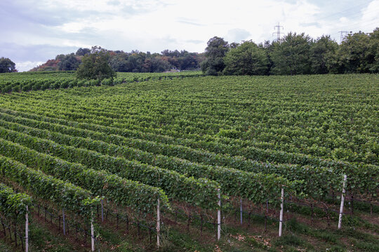 View of the landscape in South Tyrol