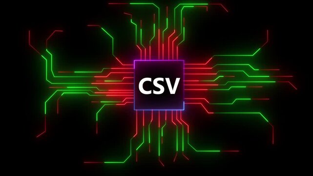 CSV Data Processor Circuit Dynamic Visual Electronic Information Technology