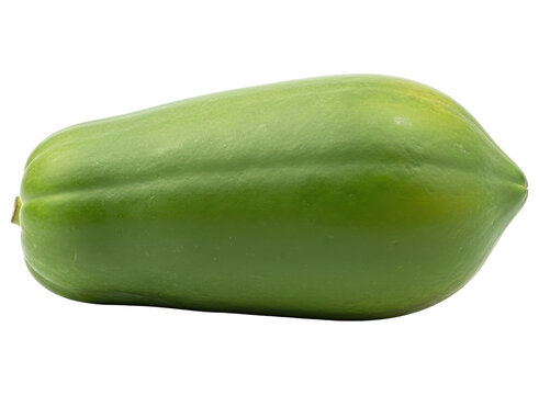Fresh unripe green papaya fruit lying horizontally, ready for culinary use