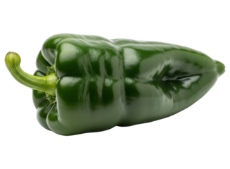 Fresh dark green poblano pepper, a mild chili popular in mexican cuisine