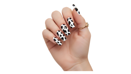 Hand with cow print press on nails trendy nail art design isolated on white background for beauty and fashion concepts