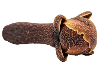 Obraz premium Close up of a single dried clove bud, a popular aromatic spice for cooking