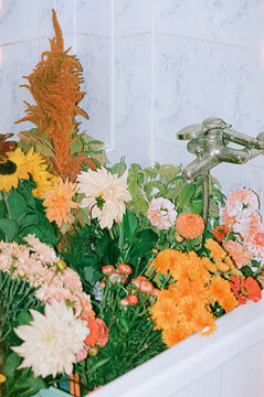 Colorful flowers arranged in a bathtub