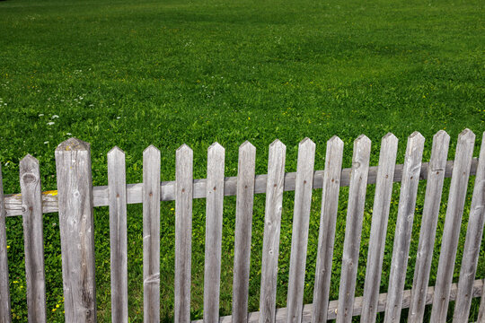 Green meadow behind a wooden fence