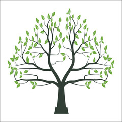 Tree vector with full of leaf 