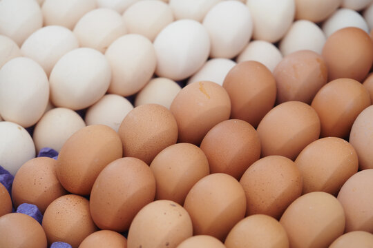 Variety of eggs displayed at a market for shoppers