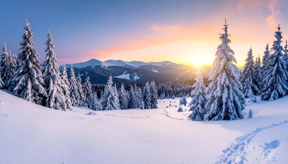 Winter wonderland sunrise panorama