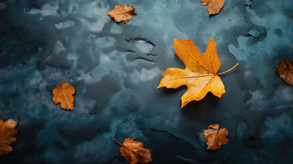 Autumn Leaves Scattered on a Textured Surface in Natural Light