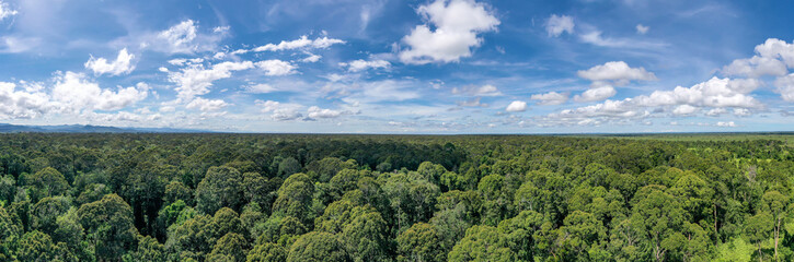 Aerial view of the Borneo rainforest at Klias Forest Reserve, Beaufort Sabah. © Yusnizam Yusof