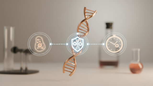 DNA strand with cell and clock icons representing longevity and research in scientific laboratory setting for health study