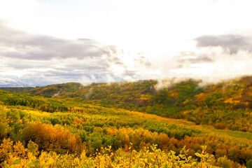 Clouds of condensation from the wet autumn forest on the hills with yellow, orange and green foliage. Dunvegan provincial park, Alberta, Canada.