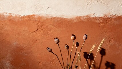 Aesthetic Textured Wall Collection Vintage Farmhouse Design Earthy Tones Organic Decor