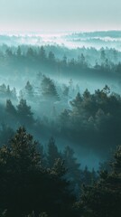 Mysterious Night Sky with Glowing Moon and Silhouettes