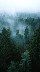 Haunted Castle Surrounded by Mist and Dramatic Sky