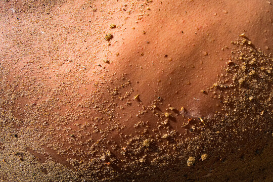 Close-up Texture View of Sandy Skin After a Day at the Beach