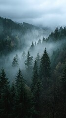 Midnight Forest with Glowing Colours and Fantasy Mood