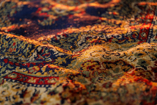 Elegant Traditional Carpet Displaying Intricate Patterns and Colors