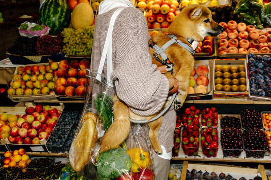 Owner carrying dog and bag of groceries in fruit market