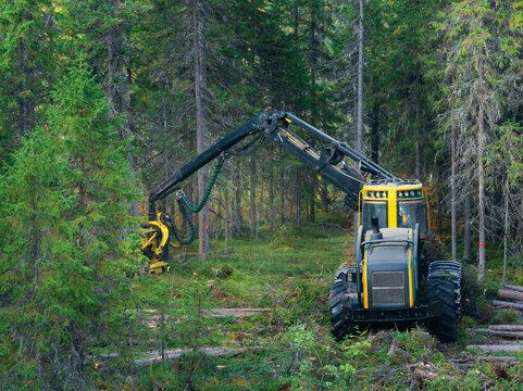Machinery used for timber harvesting captured from above in a lush forested area