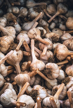 Garlic Bulbs Piled Together in a Market Setting