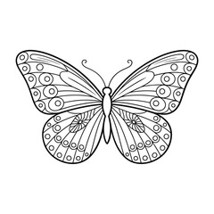 Detailed line art of a butterfly with intricate wing patterns