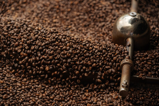 Roasted coffee beans in cooling drum after roasting