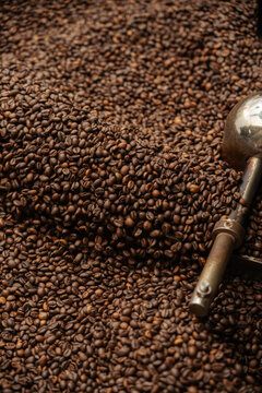 Roasted coffee beans in metal cooling container 
