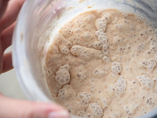 bubbles on sourdough bread starter