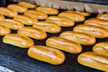 Freshly baked bread rolls emerge from the oven in a bustling bakery during the early morning hours