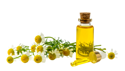 Chamomile flowers and a bottle of yellow liquid with a dropper and cork stopper on white background