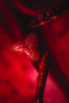Microscope image of a pistil and stamens of a lily