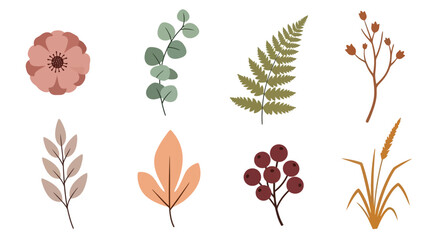 Collection of illustrated botanical elements including flowers leaves and grasses