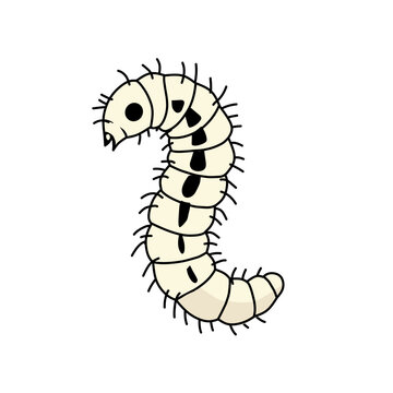 Vector illustration of flea larva isolated on white background. Educational biology drawing showing the larval stage of flea life cycle with detailed body texture