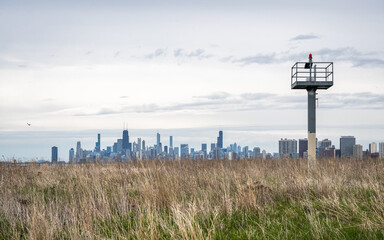 The Chicago Skyline from the Northside