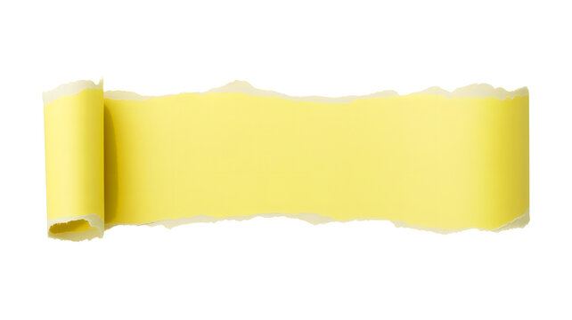 Torn yellow paper strip with rough edges and rolled ends isolated on transparent background