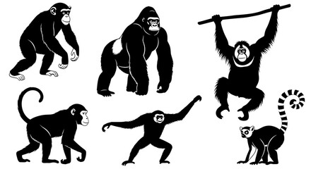 Diverse primate collection showcasing gorillas, chimpanzees, orangutans, and lemurs in dynamic poses, perfect for educational or wildlife themes.