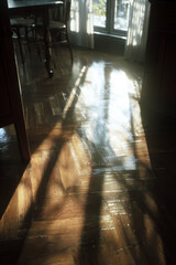 Sunlight streams across a room with wooden floors and furniture inside.