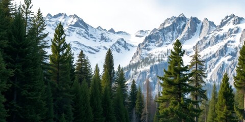 Fototapeta premium Majestic Snow-Capped Mountains Surrounded by Lush Green Trees in a Scenic Wilderness Landscape