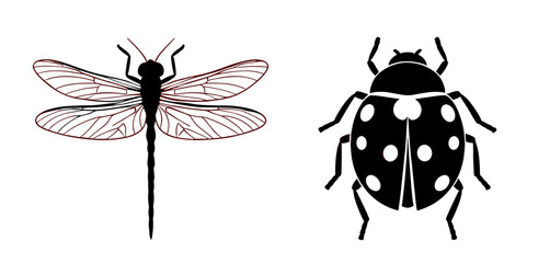 Dragonfly and Ladybug Duo: A Whimsical Insect Collection Ready to Enhance Your Designs, Perfect for Nature-Themed Projects or Educational Materials