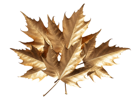 Golden Maple Leaves Shiny Metallic Fall Decoration Elegant Design